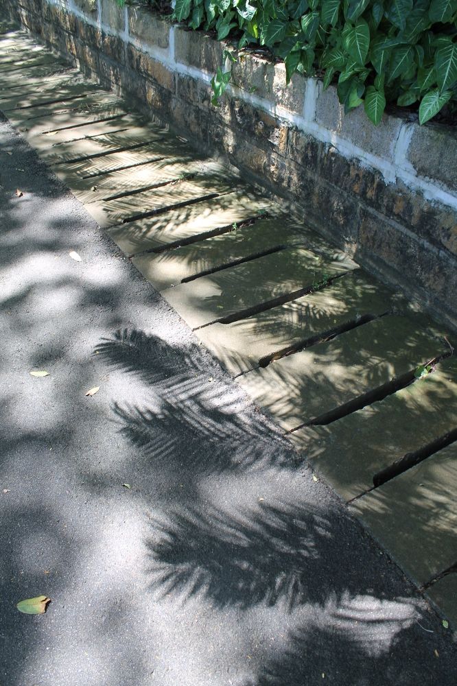 Photograph by Ekaterina