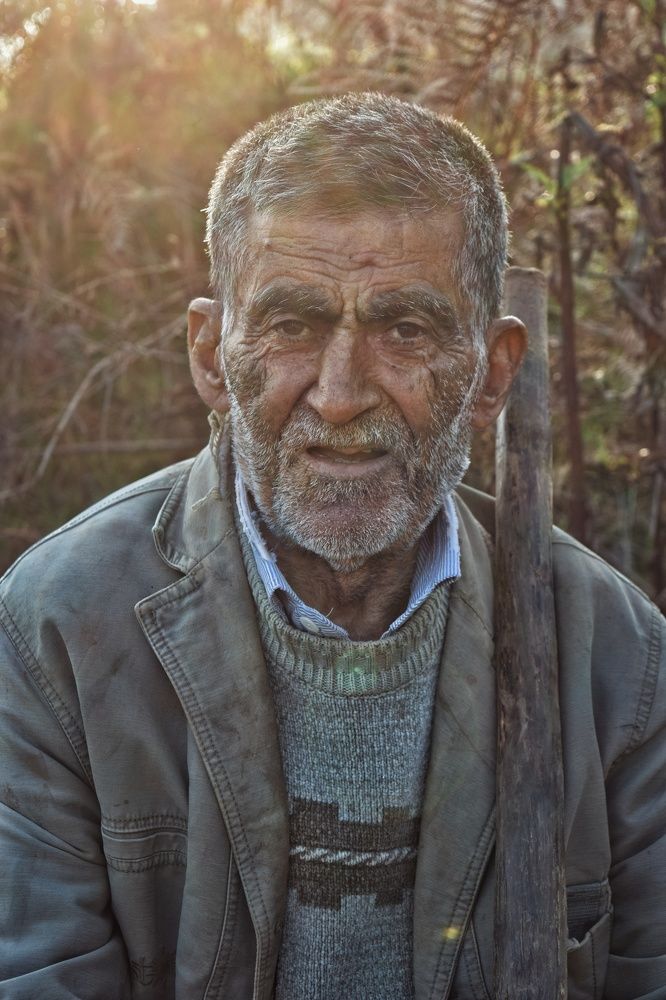 Photograph by Milad Sharif nia