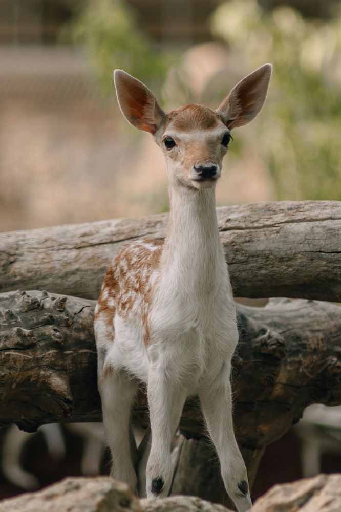 Photograph by Андрей Ероха