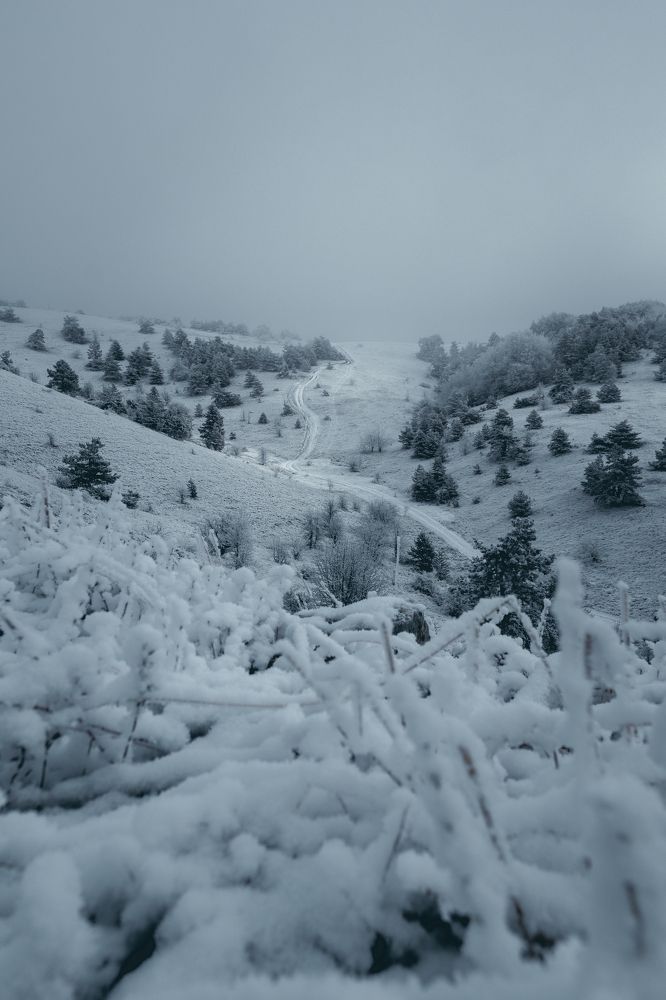 Photograph by Андрей Ероха