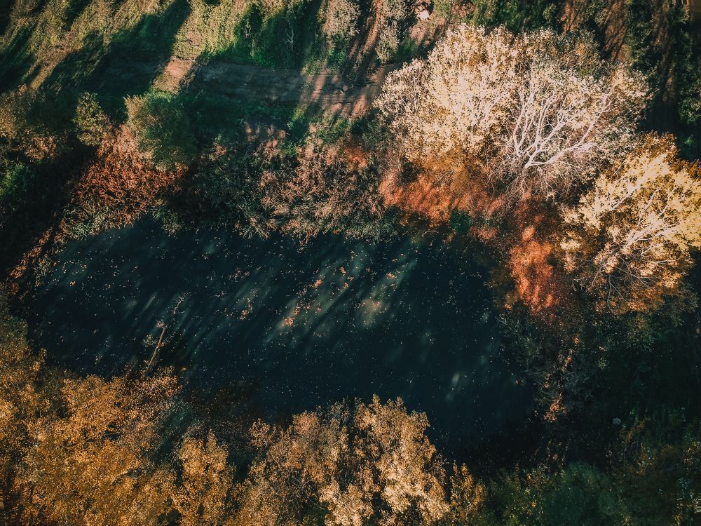 Photograph by Андрей Ероха