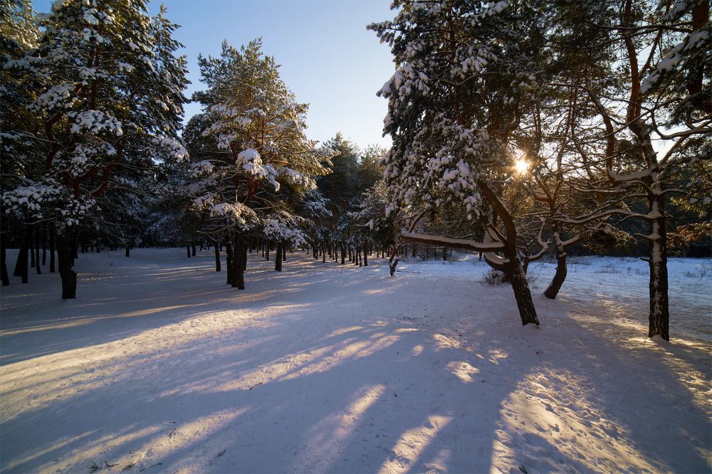 Photograph by Михаил Кудрявцев