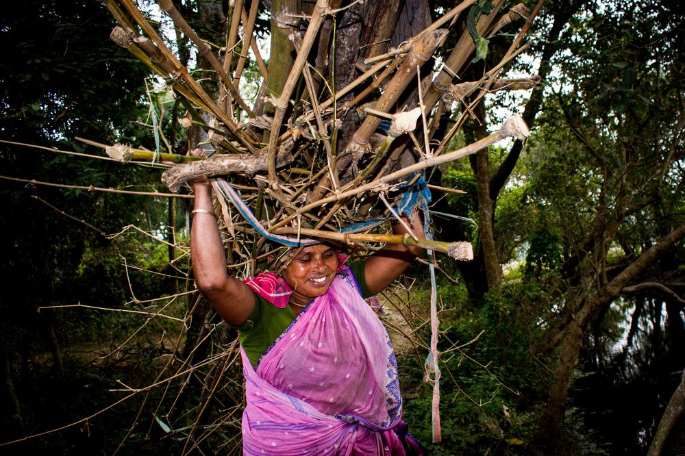 Photograph by Shubhodeep Roy
