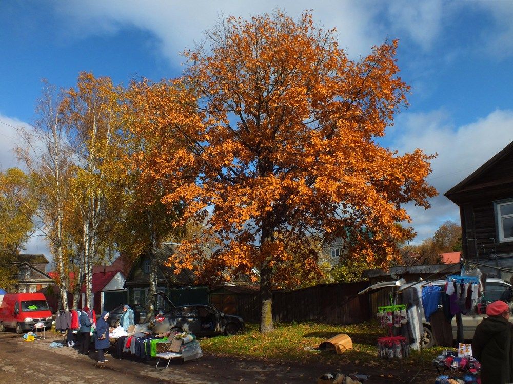 Photograph by Дмитрий Крылов