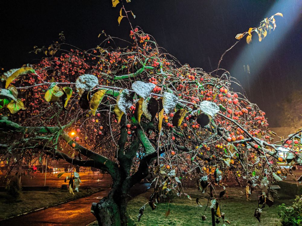 Photograph by Олександр Проскурін