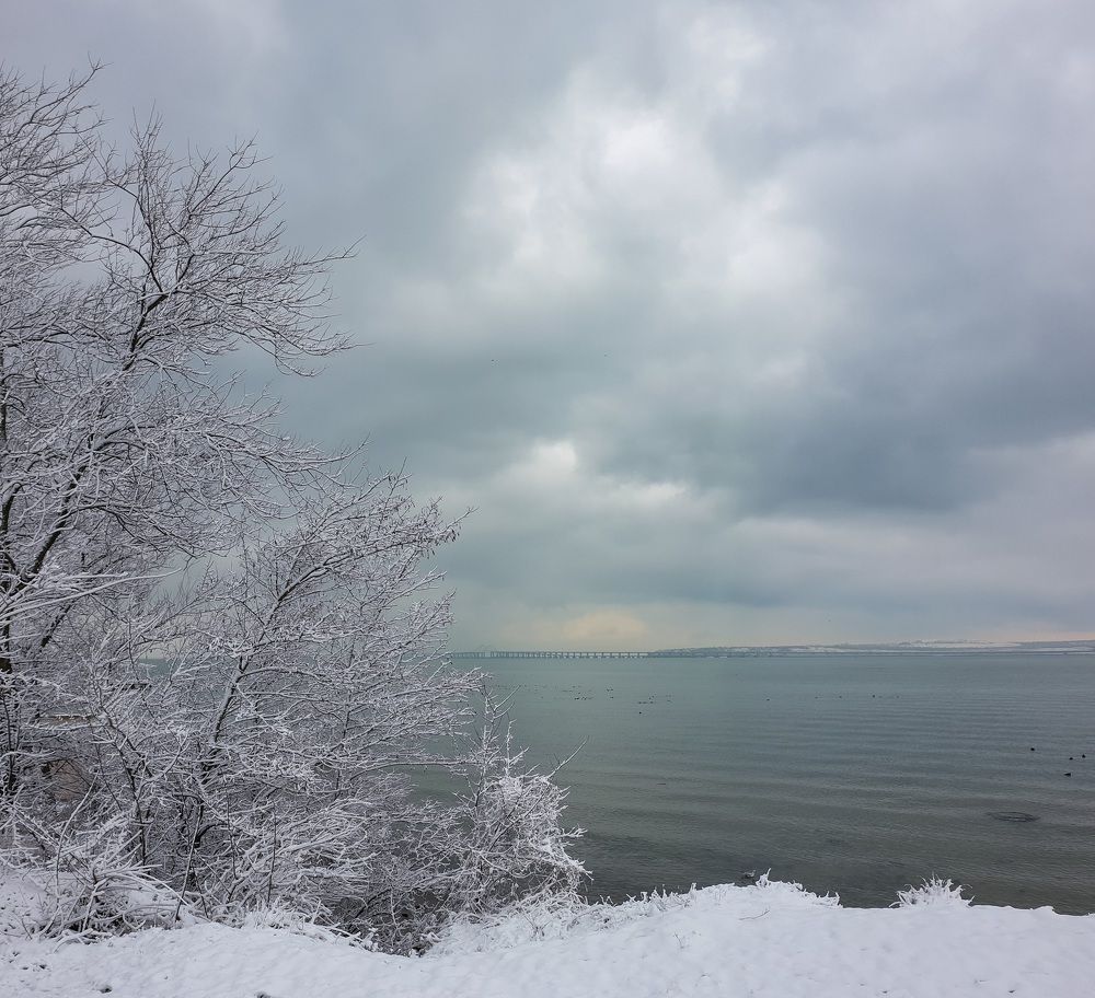 Photograph by Лариса Когтева