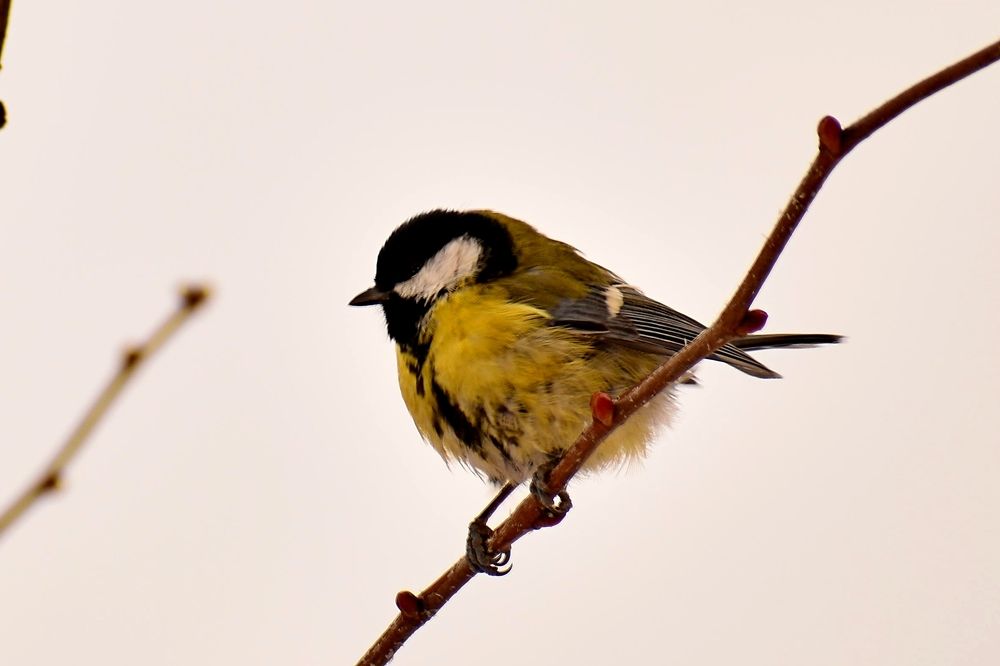 Photograph by Валерий Талейко