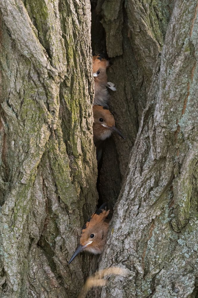 Photograph by Антон Мостовенко