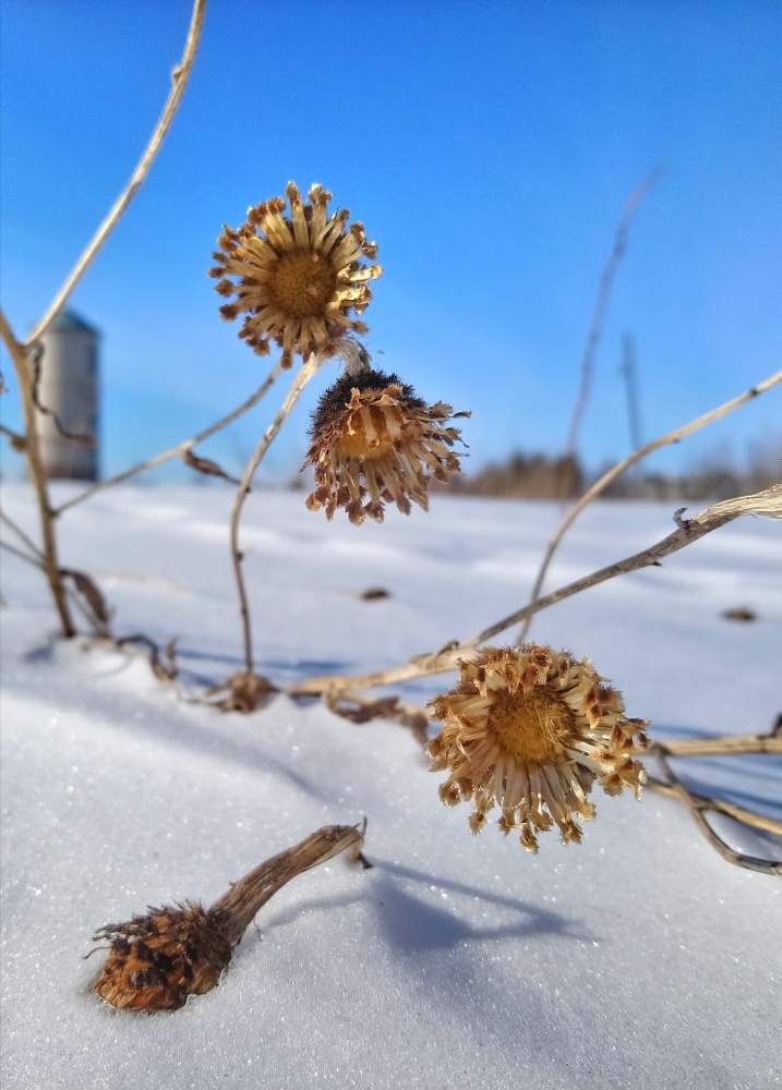 Photograph by Эмма Оленина