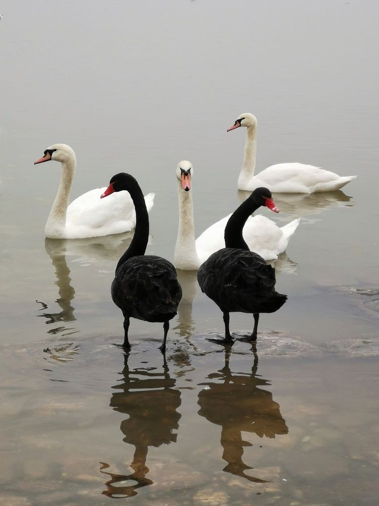 Photograph by Анна Сохрякова