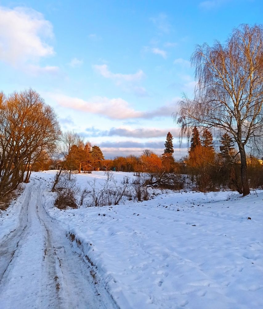 Солнечный денёк.