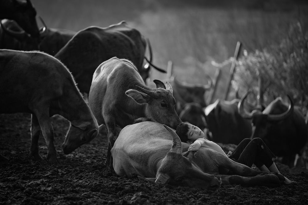 Mowgli Malaysia The Kampung Boy