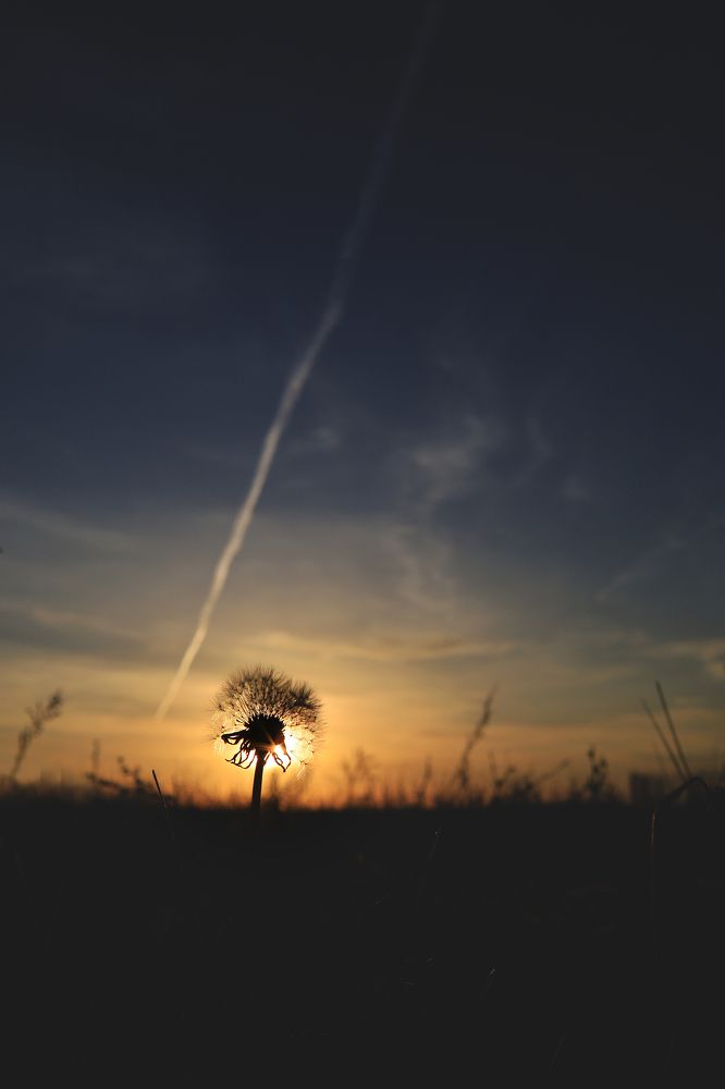 Photograph by Диляра Фаткуллина