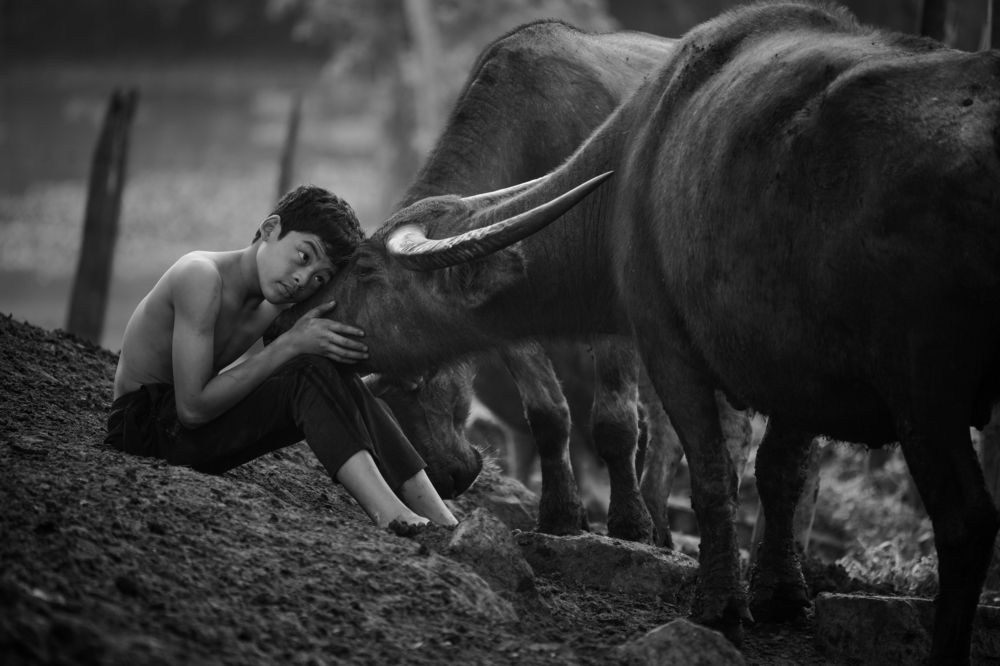 Mowgli Malaysia The Kampung Boy