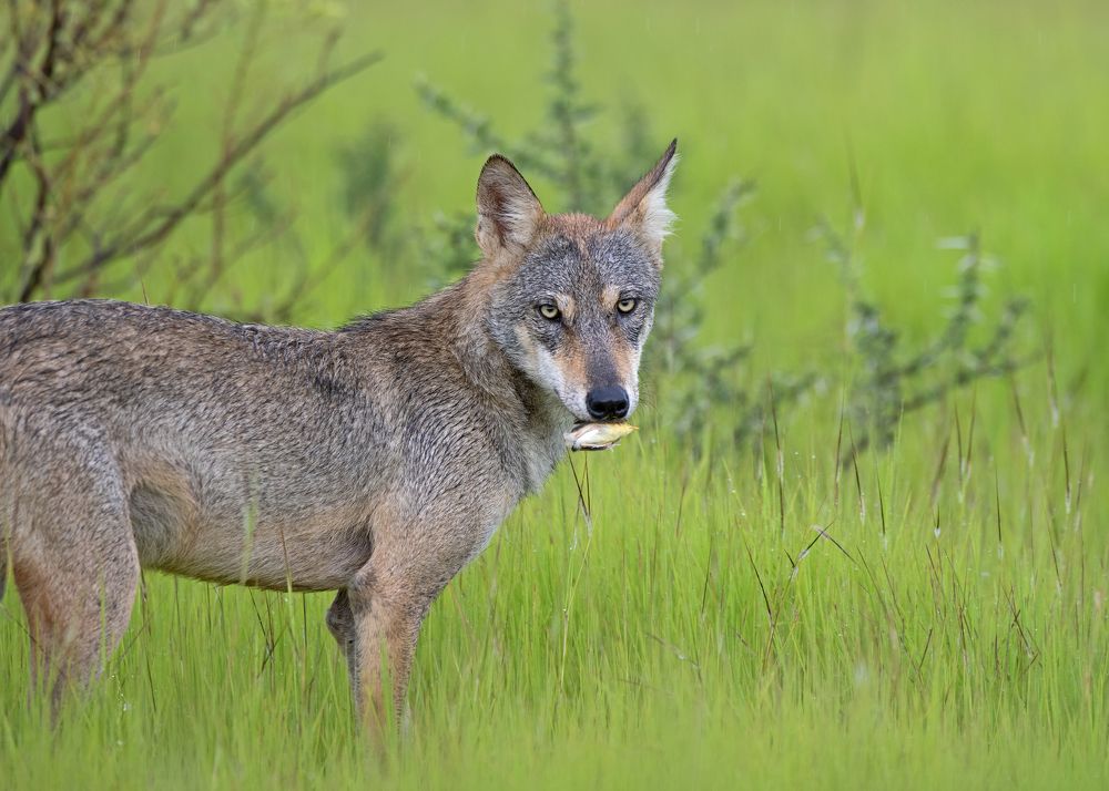 Photograph by Sandip Patil