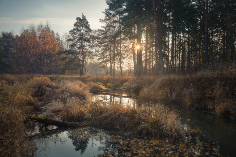 Photograph by Анна Политова