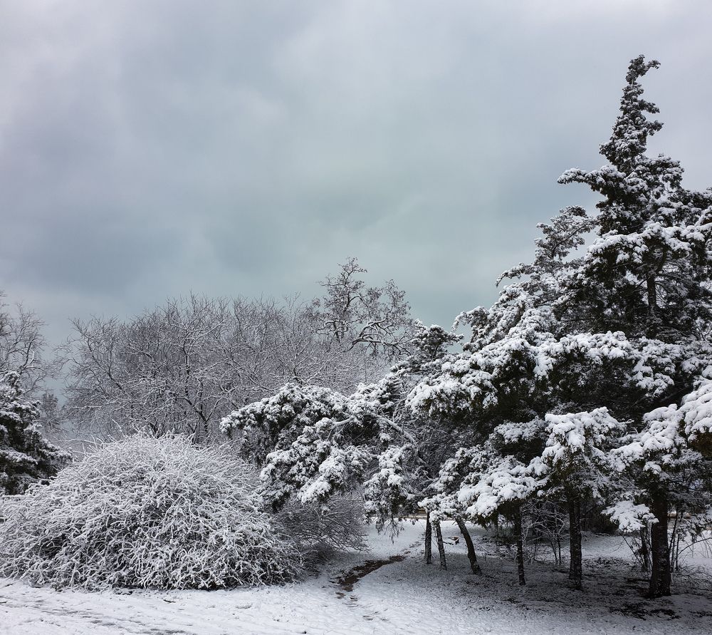 Photograph by Лариса Когтева