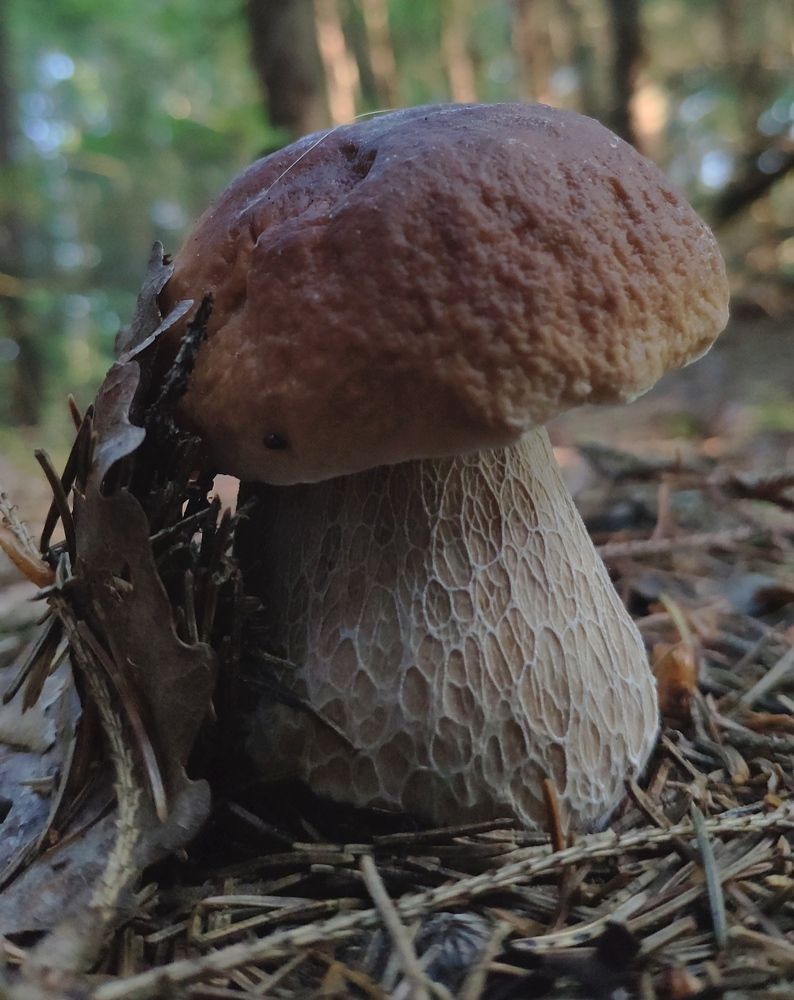 Photograph by Елена Позднякова