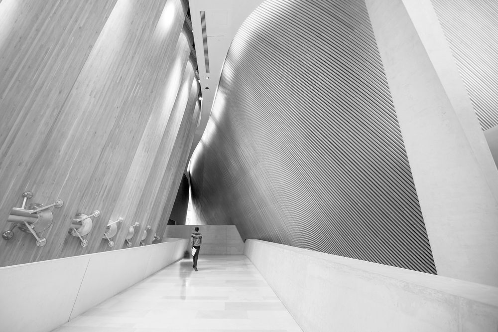 Photograph by Amal Alameer