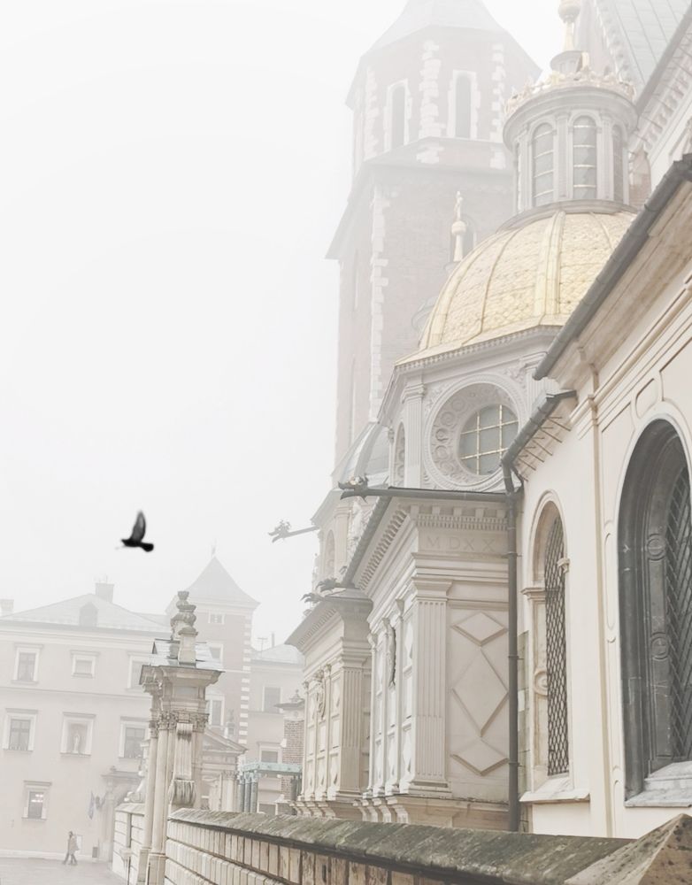 Photograph by Palina Mikhailouskaya