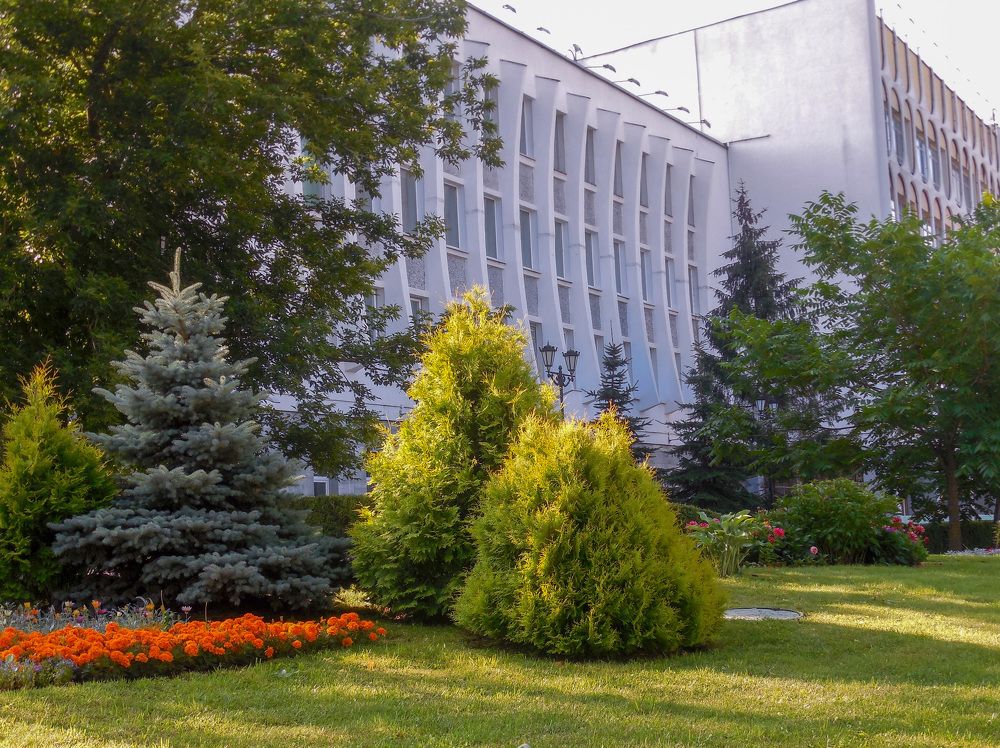 Фотография автора Valiantsina Sivakova