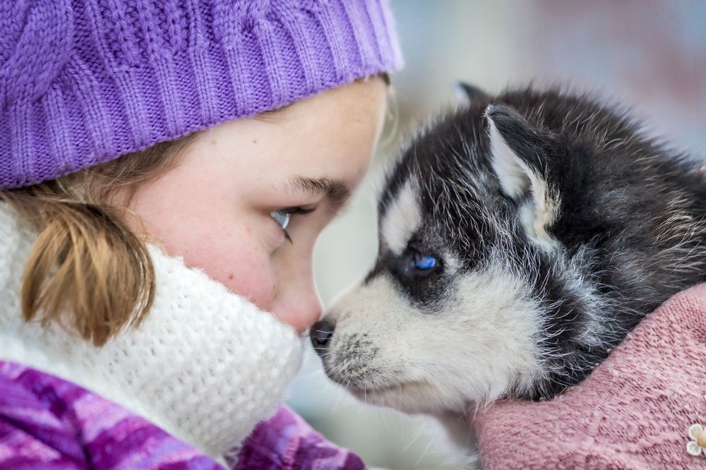 Фотография автора Алексей Гнедчик