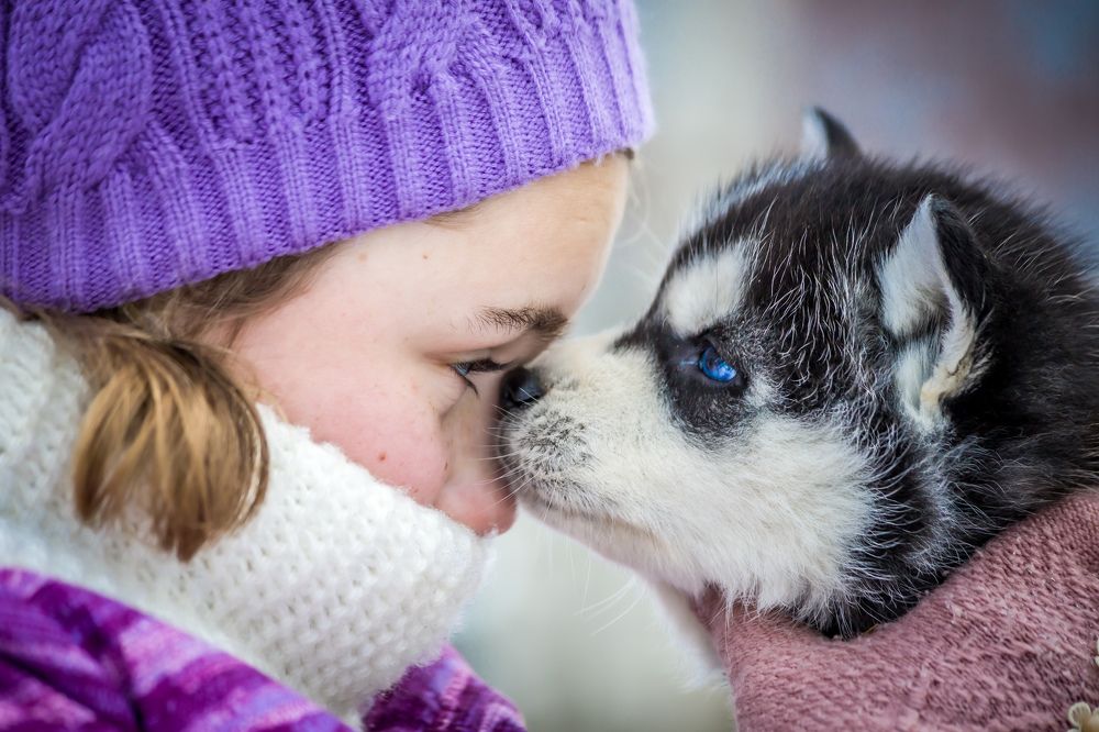 Фотография автора Алексей Гнедчик