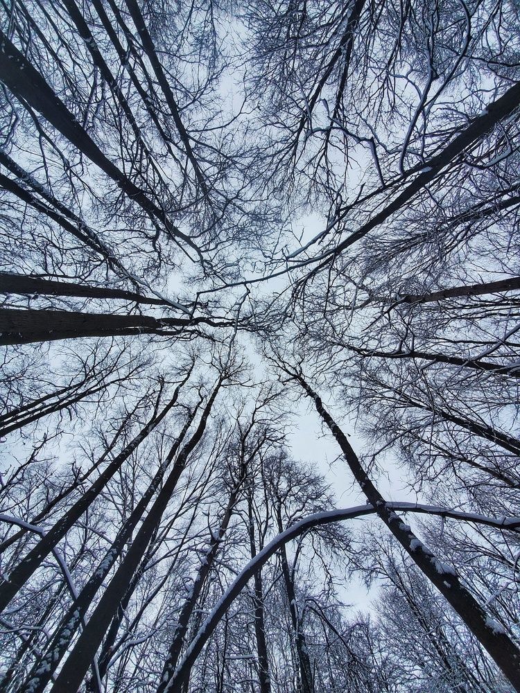 Photograph by Tatiana Potapenko