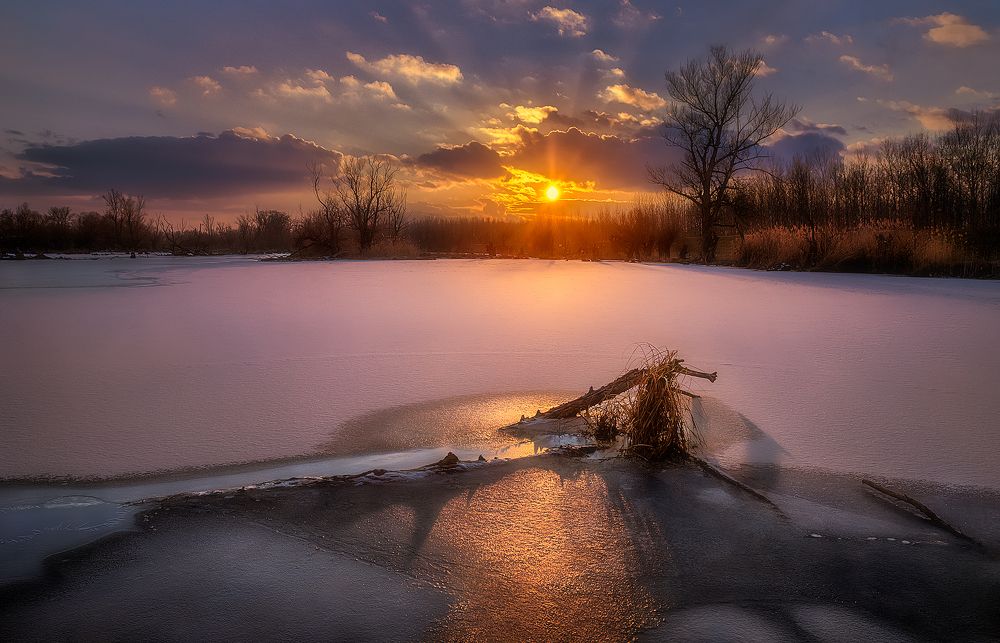 Photograph by Martin Kucera