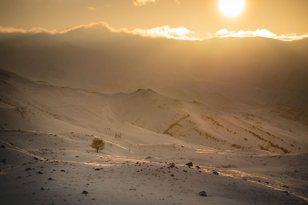 Photograph by Amir Ramezani