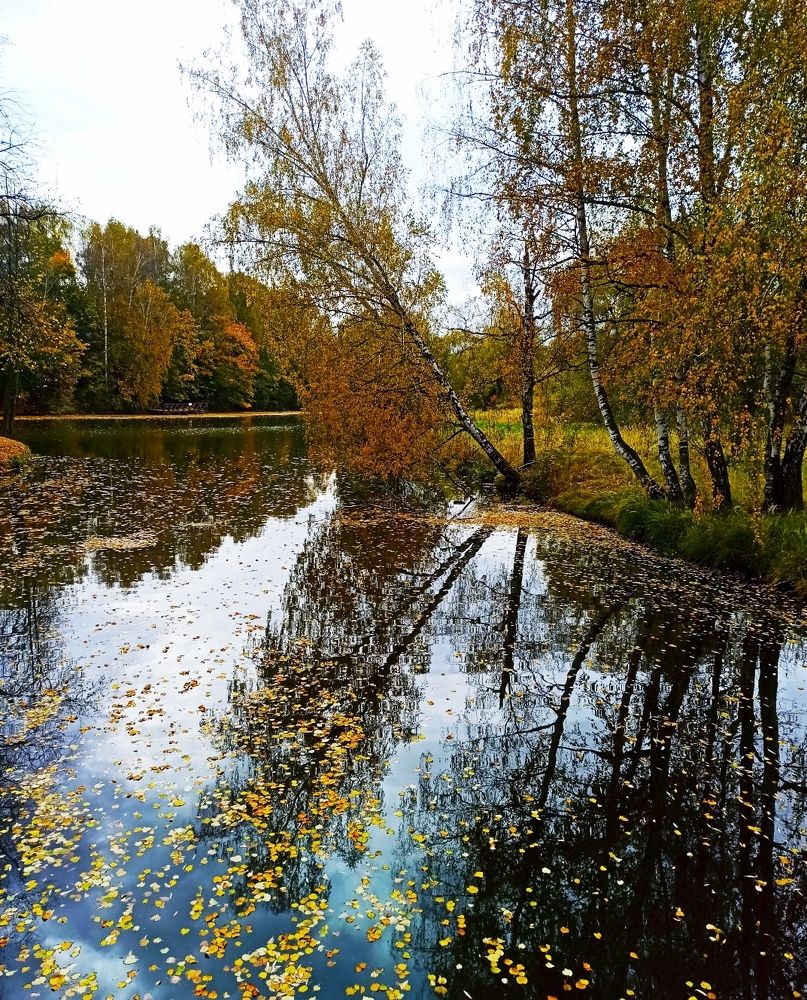 Осень в отражении...