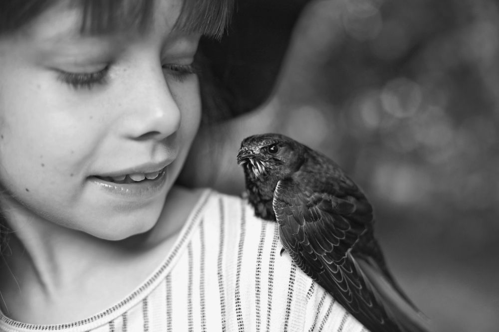 Photograph by Екатерина Терновая