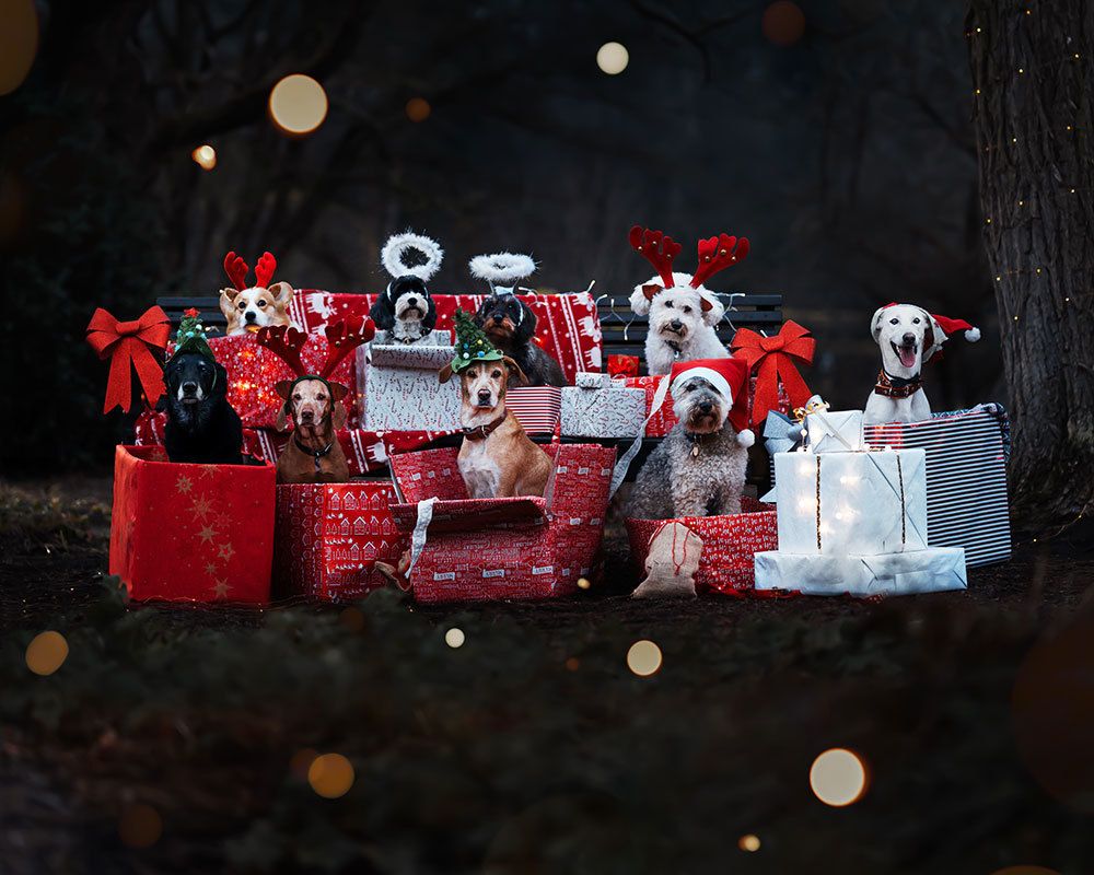 Photograph by Victoria Butova