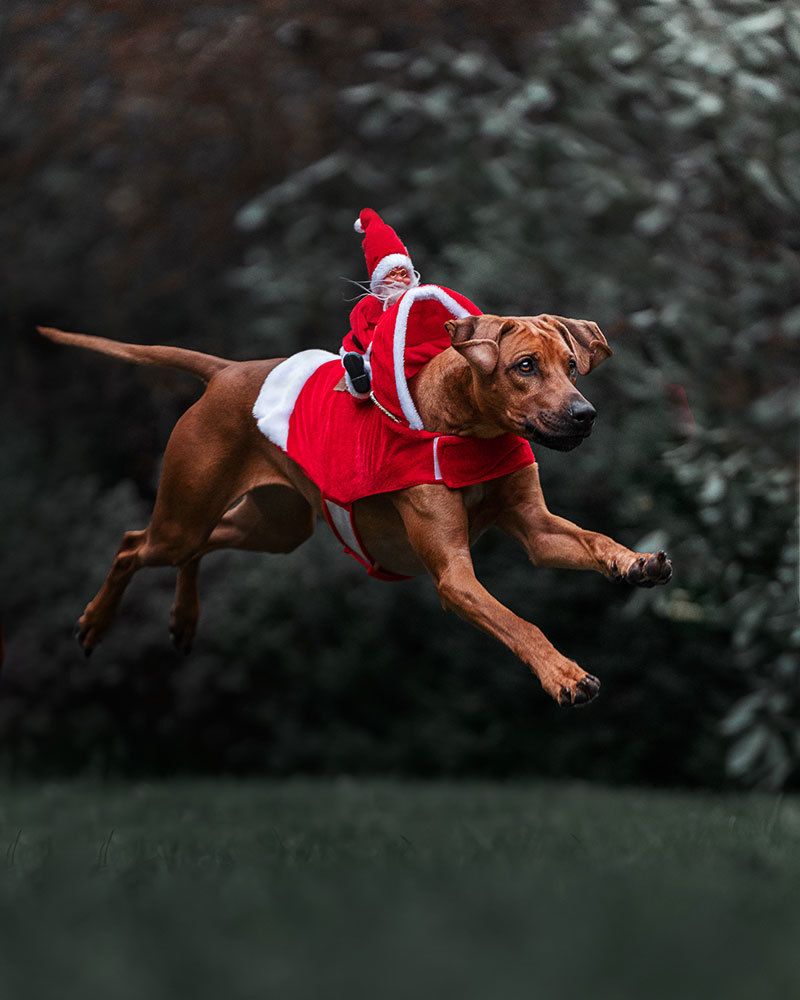 Photograph by Victoria Butova