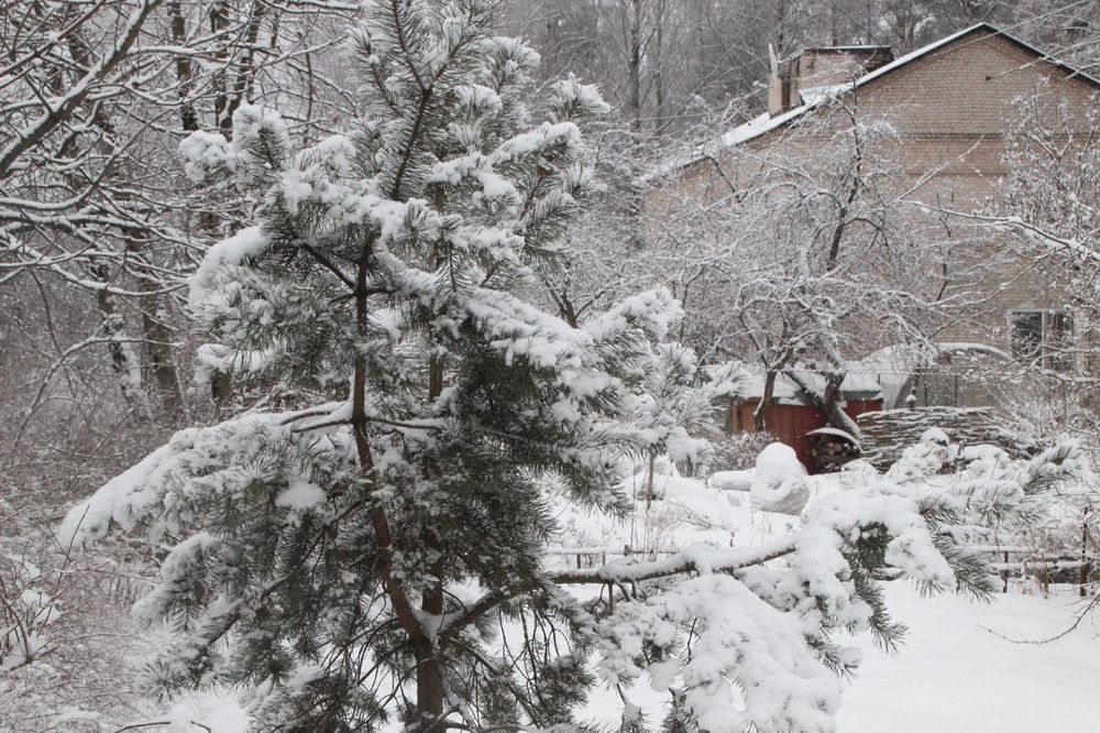 Photograph by БЕРТЕЛЬС ВАСИЛИЙ