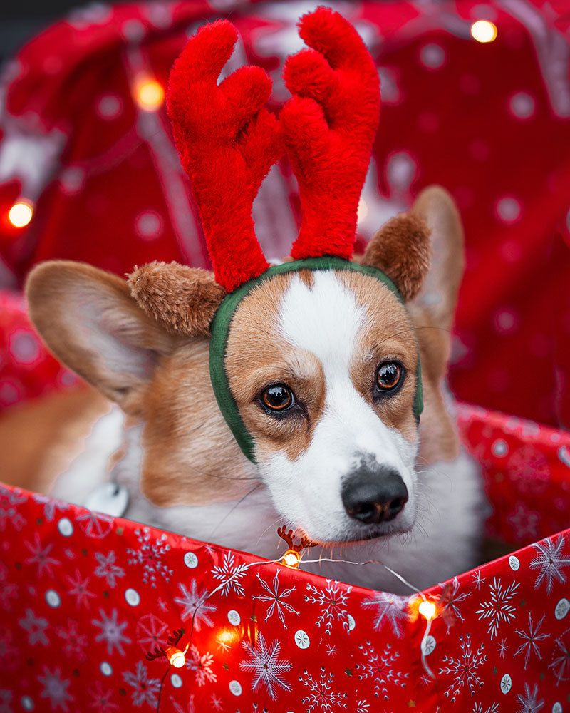 Photograph by Victoria Butova