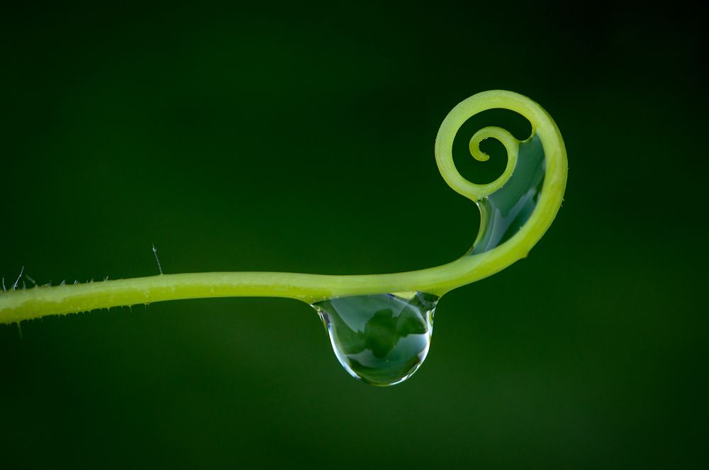 Фотография автора Зоя Галимова