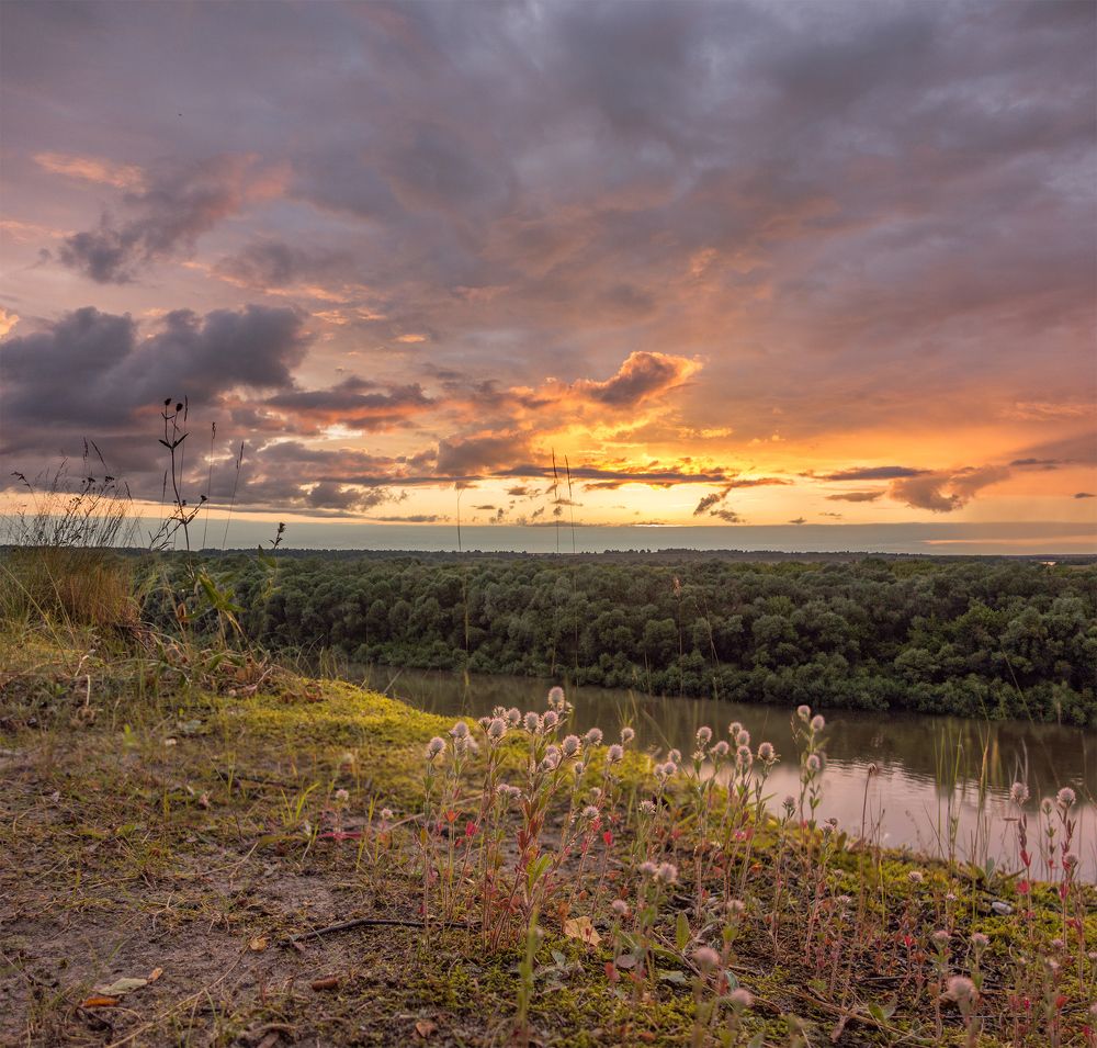 Photograph by Геннадий Михайлов