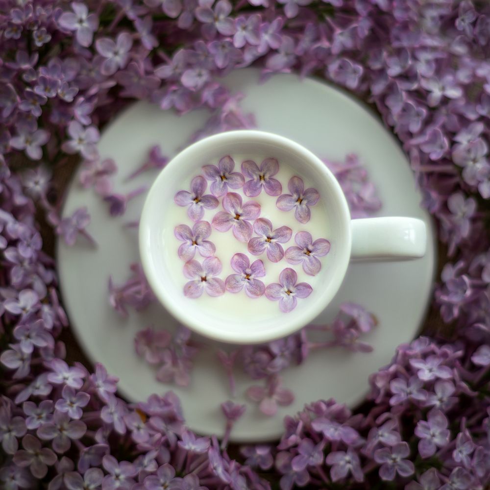 Фотография автора Зоя Галимова