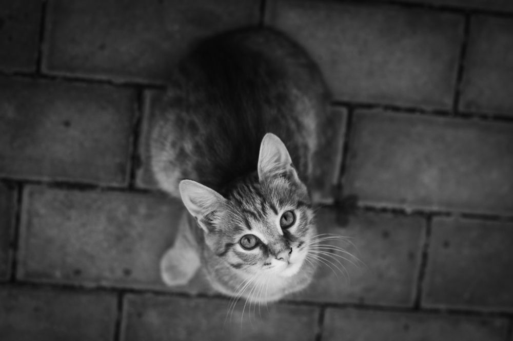 Photograph by Наталья Кулемина