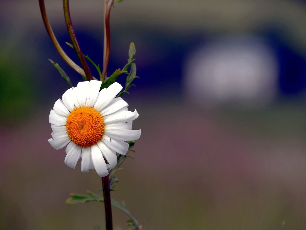 Photograph by Іван Березовський