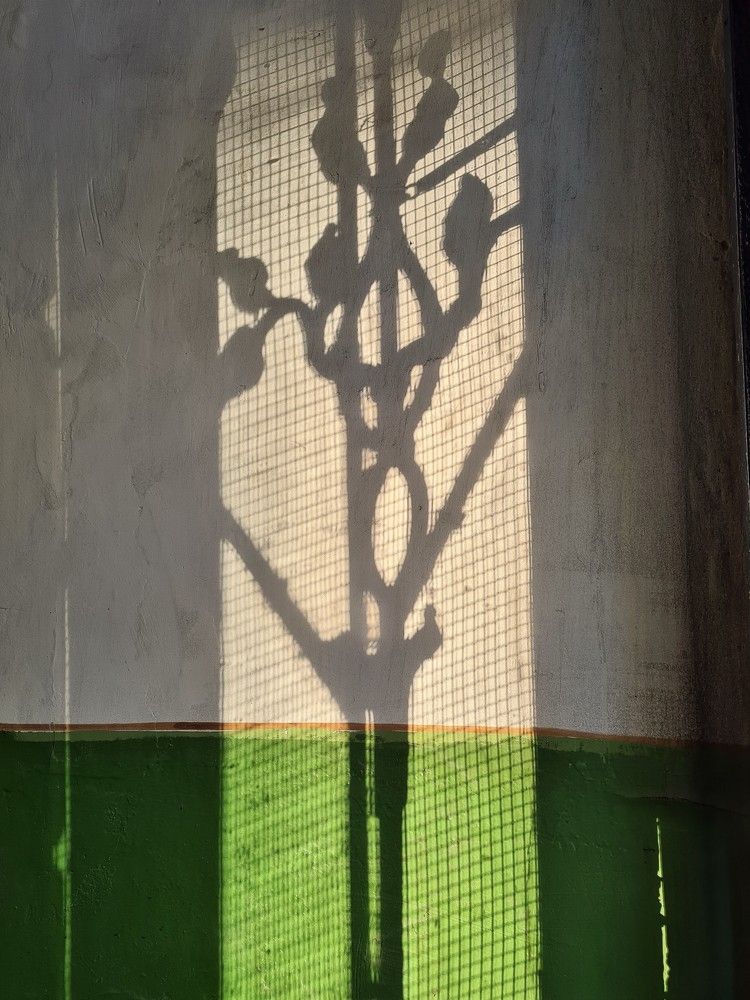 Photograph by Андрей Телибаев