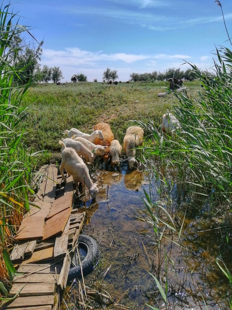 Жаркое лето