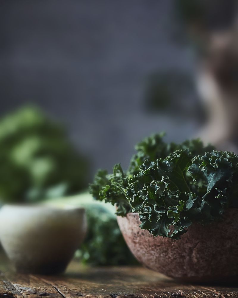 Photograph by mahmoud ahmed