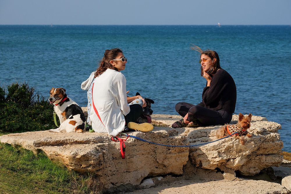 Photograph by Alexander Altgauzen