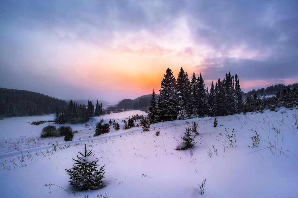 Фотография автора Vyacheslav Lozhkin