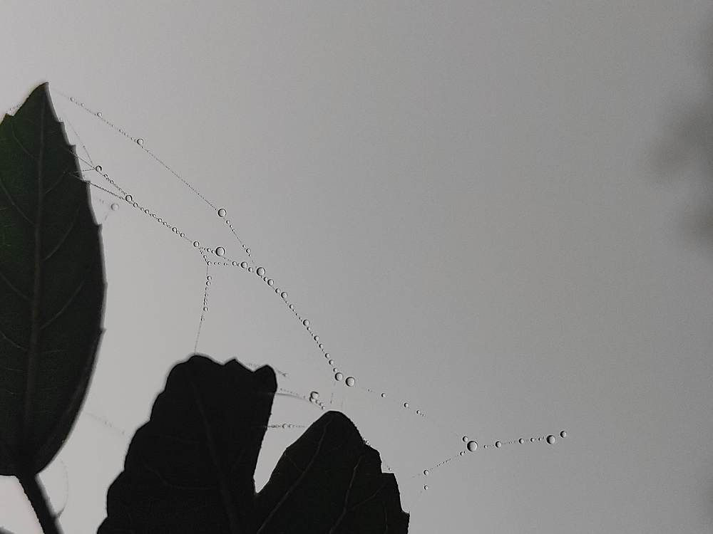 Photo #5565951