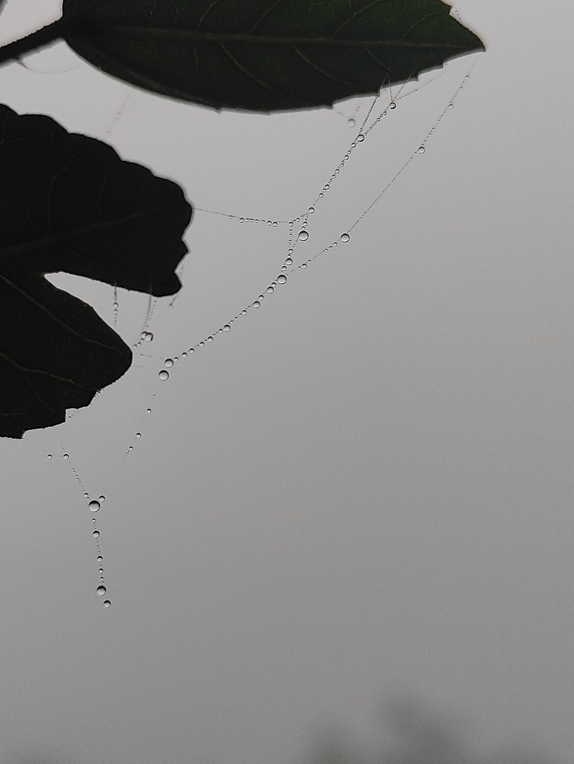 Photo #5565951