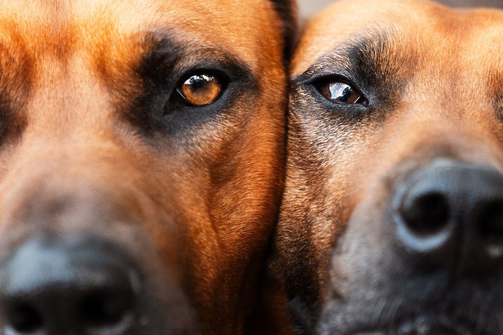 Photograph by Victoria Butova