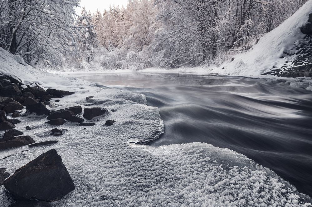 Photograph by Елена Лебедева